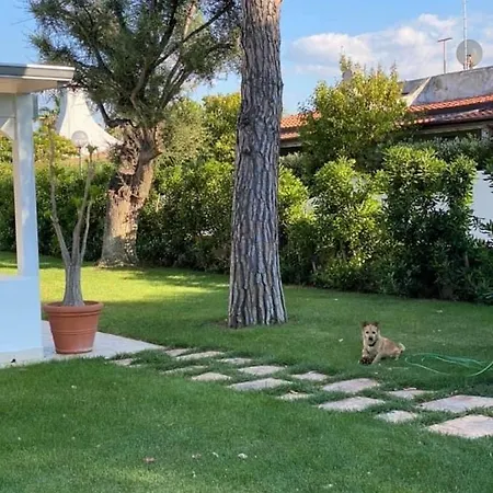 Gli Ulivi Rosamarina Ostuni * Rosa Marina